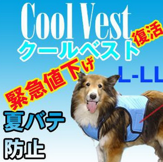 夏の暑さ対策　クールベスト　犬用　L－LL.png